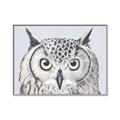 Picture of Close-up The Owl Head _GroupedProduct_Rectangle_Landscape_Canvas_Framed_