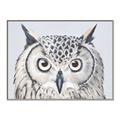 Picture of Close-up The Owl Head _GroupedProduct_Rectangle_Landscape_Canvas_Framed_