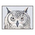 Picture of Close-up The Owl Head _GroupedProduct_Rectangle_Landscape_Canvas_Framed_