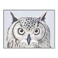 Picture of Close-up The Owl Head _GroupedProduct_Rectangle_Landscape_Canvas_Framed_