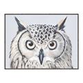 Picture of Close-up The Owl Head _GroupedProduct_Rectangle_Landscape_Canvas_Framed_