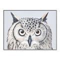 Picture of Close-up The Owl Head _GroupedProduct_Rectangle_Landscape_Canvas_Framed_