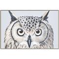 Picture of Close-up The Owl Head _GroupedProduct_Rectangle_Landscape_Canvas_Framed_