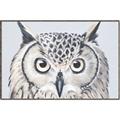 Picture of Close-up The Owl Head _GroupedProduct_Rectangle_Landscape_Canvas_Framed_