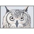 Picture of Close-up The Owl Head _GroupedProduct_Rectangle_Landscape_Canvas_Framed_