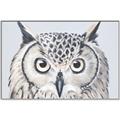 Picture of Close-up The Owl Head _GroupedProduct_Rectangle_Landscape_Canvas_Framed_