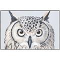 Picture of Close-up The Owl Head _GroupedProduct_Rectangle_Landscape_Canvas_Framed_
