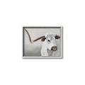 Picture of Cow with Big Horn _GroupedProduct_Rectangle_Landscape_Canvas_Framed_