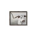 Picture of Cow with Big Horn _GroupedProduct_Rectangle_Landscape_Canvas_Framed_