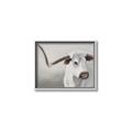 Picture of Cow with Big Horn _GroupedProduct_Rectangle_Landscape_Canvas_Framed_