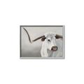 Picture of Cow with Big Horn _GroupedProduct_Rectangle_Landscape_Canvas_Framed_