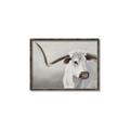 Picture of Cow with Big Horn _GroupedProduct_Rectangle_Landscape_Canvas_Framed_