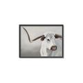 Picture of Cow with Big Horn _GroupedProduct_Rectangle_Landscape_Canvas_Framed_