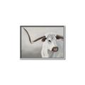 Picture of Cow with Big Horn _GroupedProduct_Rectangle_Landscape_Canvas_Framed_