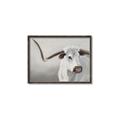 Picture of Cow with Big Horn _GroupedProduct_Rectangle_Landscape_Canvas_Framed_