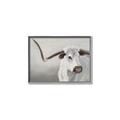 Picture of Cow with Big Horn _GroupedProduct_Rectangle_Landscape_Canvas_Framed_