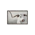 Picture of Cow with Big Horn _GroupedProduct_Rectangle_Landscape_Canvas_Framed_