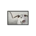 Picture of Cow with Big Horn _GroupedProduct_Rectangle_Landscape_Canvas_Framed_