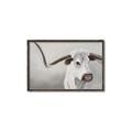 Picture of Cow with Big Horn _GroupedProduct_Rectangle_Landscape_Canvas_Framed_
