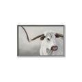 Picture of Cow with Big Horn _GroupedProduct_Rectangle_Landscape_Canvas_Framed_