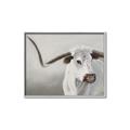 Picture of Cow with Big Horn _GroupedProduct_Rectangle_Landscape_Canvas_Framed_
