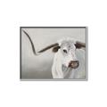 Picture of Cow with Big Horn _GroupedProduct_Rectangle_Landscape_Canvas_Framed_