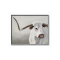 Picture of Cow with Big Horn _GroupedProduct_Rectangle_Landscape_Canvas_Framed_