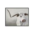 Picture of Cow with Big Horn _GroupedProduct_Rectangle_Landscape_Canvas_Framed_