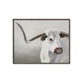 Picture of Cow with Big Horn _GroupedProduct_Rectangle_Landscape_Canvas_Framed_