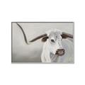 Picture of Cow with Big Horn _GroupedProduct_Rectangle_Landscape_Canvas_Framed_