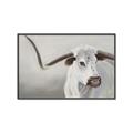 Picture of Cow with Big Horn _GroupedProduct_Rectangle_Landscape_Canvas_Framed_
