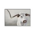 Picture of Cow with Big Horn _GroupedProduct_Rectangle_Landscape_Canvas_Framed_