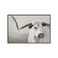 Picture of Cow with Big Horn _GroupedProduct_Rectangle_Landscape_Canvas_Framed_