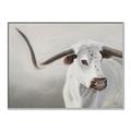 Picture of Cow with Big Horn _GroupedProduct_Rectangle_Landscape_Canvas_Framed_