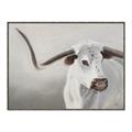 Picture of Cow with Big Horn _GroupedProduct_Rectangle_Landscape_Canvas_Framed_