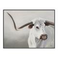 Picture of Cow with Big Horn _GroupedProduct_Rectangle_Landscape_Canvas_Framed_
