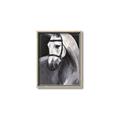 Picture of Soft Horse _GroupedProduct_Rectangle_Portrait_Canvas_Framed_