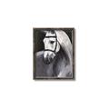Picture of Soft Horse _GroupedProduct_Rectangle_Portrait_Canvas_Framed_