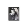 Picture of Soft Horse _GroupedProduct_Rectangle_Portrait_Canvas_Framed_