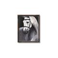 Picture of Soft Horse _GroupedProduct_Rectangle_Portrait_Canvas_Framed_