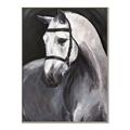 Picture of Soft Horse _GroupedProduct_Rectangle_Portrait_Canvas_Framed_