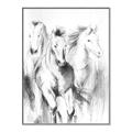 Picture of Wild Trio _GroupedProduct_Rectangle_Portrait_Canvas_Framed_