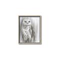 Picture of Living Owl _GroupedProduct_Rectangle_Portrait_Canvas_Framed_