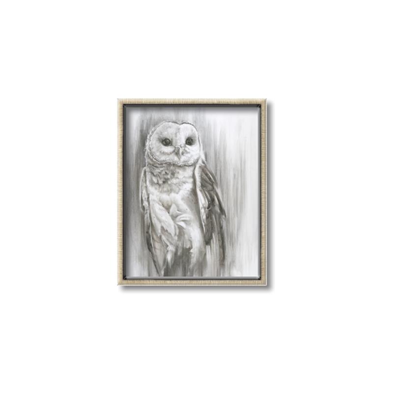 Picture of Living Owl _GroupedProduct_Rectangle_Portrait_Canvas_Framed_