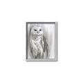 Picture of Living Owl _GroupedProduct_Rectangle_Portrait_Canvas_Framed_