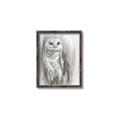 Picture of Living Owl _GroupedProduct_Rectangle_Portrait_Canvas_Framed_