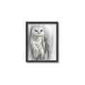 Picture of Living Owl _GroupedProduct_Rectangle_Portrait_Canvas_Framed_