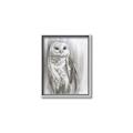 Picture of Living Owl _GroupedProduct_Rectangle_Portrait_Canvas_Framed_