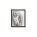 Picture of Living Owl _GroupedProduct_Rectangle_Portrait_Canvas_Framed_