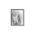 Picture of Living Owl _GroupedProduct_Rectangle_Portrait_Canvas_Framed_